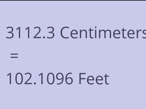3112.3 CM TO FEET