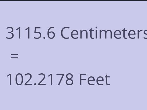 3115.6 CM TO FEET