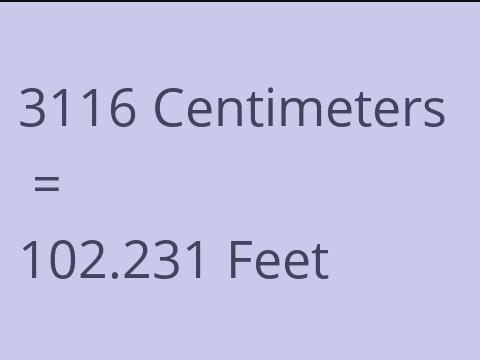 3116 CM TO FEET