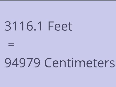 3116.1 FEET TO CM