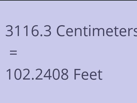 3116.3 CM TO FEET