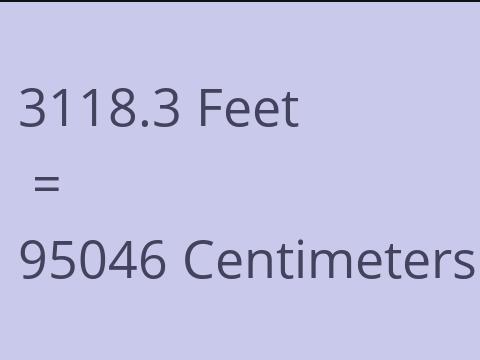 3118.3 FEET TO CM
