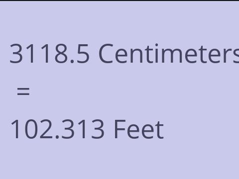 3118.5 CM TO FEET