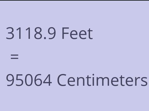 3118.9 FEET TO CM