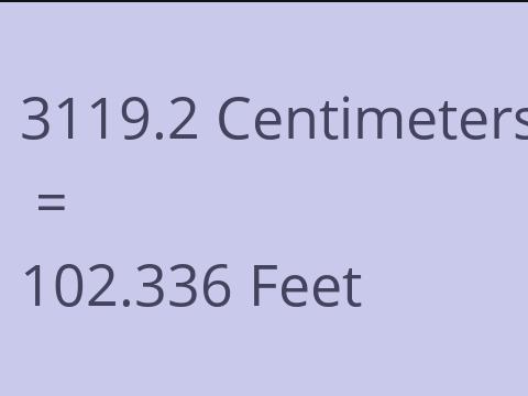 3119.2 CM TO FEET