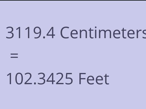 3119.4 CM TO FEET