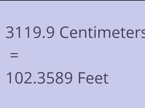 3119.9 CM TO FEET
