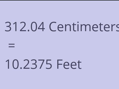 312.04 CM TO FEET