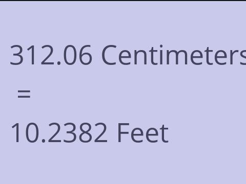 312.06 CM TO FEET