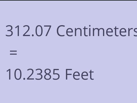 312.07 CM TO FEET