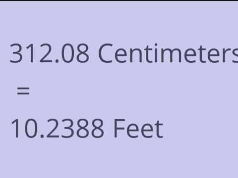 312.08 CM TO FEET