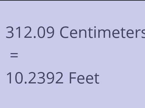 312.09 CM TO FEET