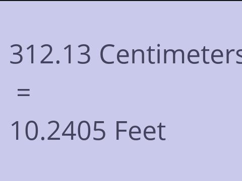 312.13 CM TO FEET