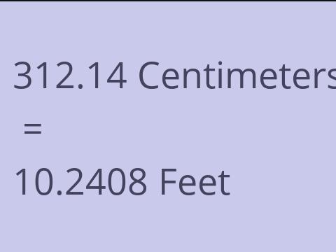 312.14 CM TO FEET