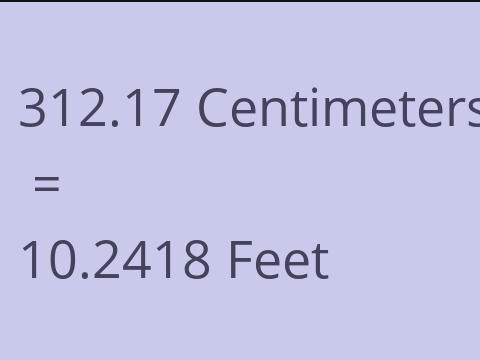 312.17 CM TO FEET