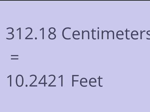 312.18 CM TO FEET