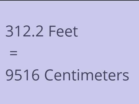 312.2 FEET TO CM