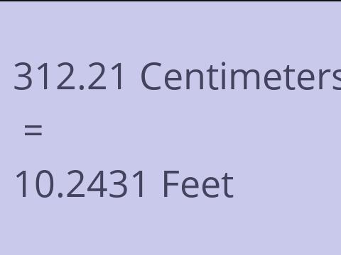 312.21 CM TO FEET