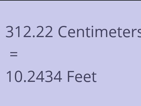 312.22 CM TO FEET