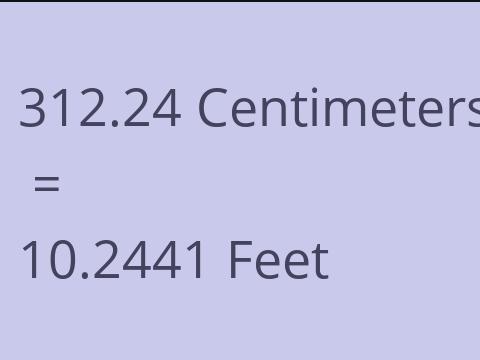 312.24 CM TO FEET