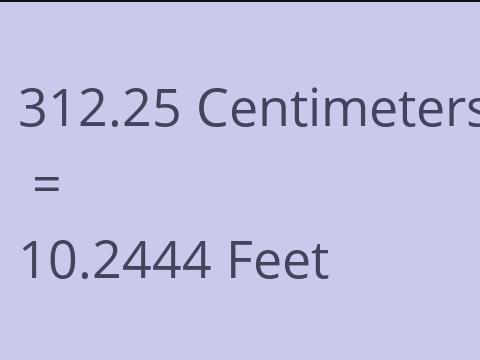 312.25 CM TO FEET