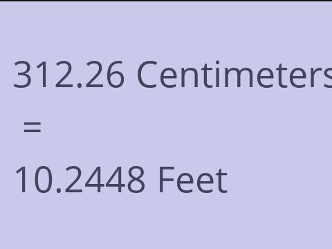 312.26 CM TO FEET