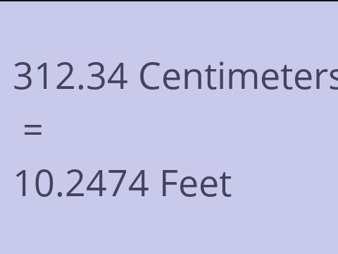 312.34 CM TO FEET