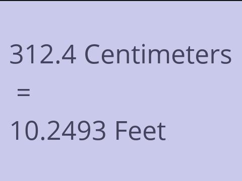 312.4 CM TO FEET