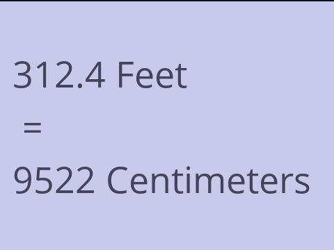 312.4 FEET TO CM