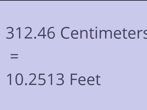 312.46 CM TO FEET