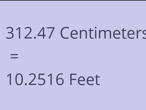 312.47 CM TO FEET