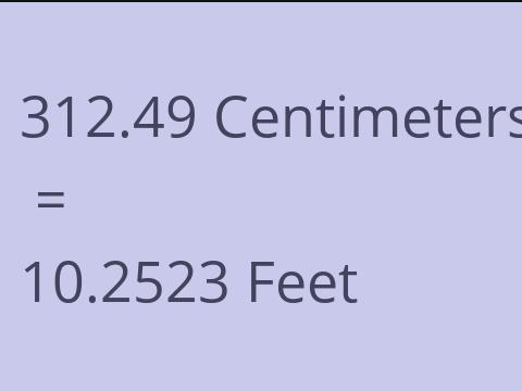 312.49 CM TO FEET