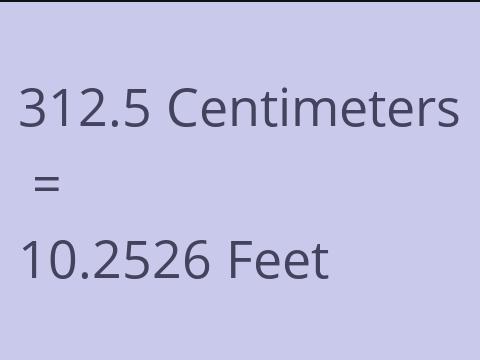 312.5 CM TO FEET