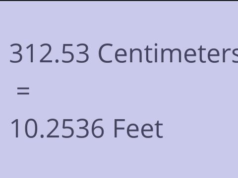 312.53 CM TO FEET