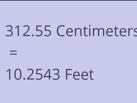 312.55 CM TO FEET