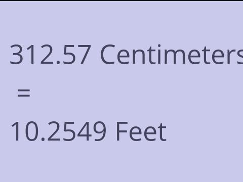 312.57 CM TO FEET