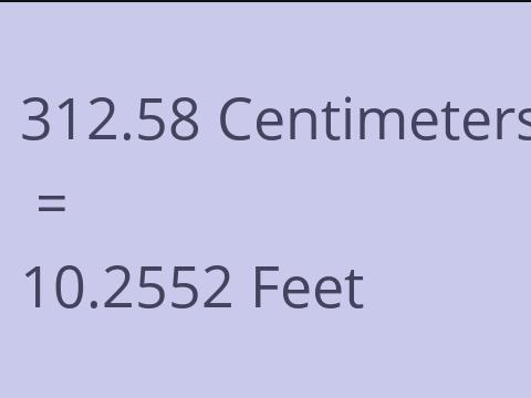 312.58 CM TO FEET