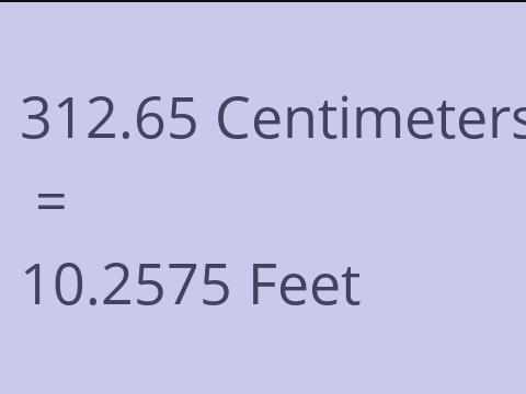 312.65 CM TO FEET