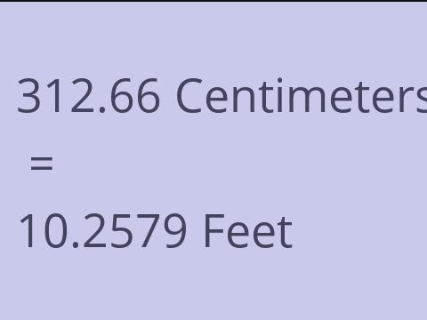 312.66 CM TO FEET