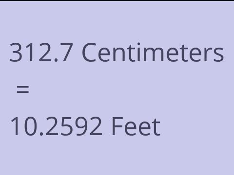 312.7 CM TO FEET