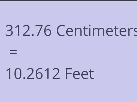 312.76 CM TO FEET