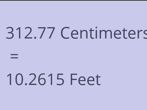 312.77 CM TO FEET