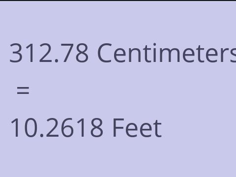 312.78 CM TO FEET