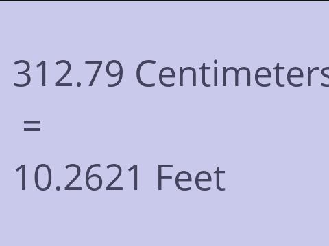 312.79 CM TO FEET