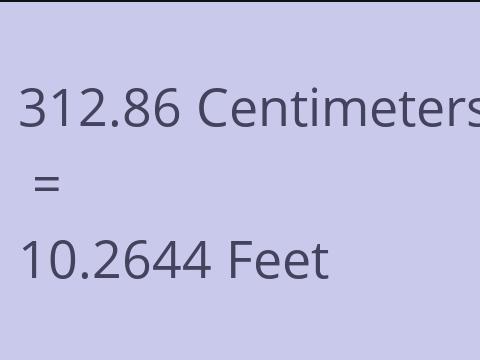 312.86 CM TO FEET