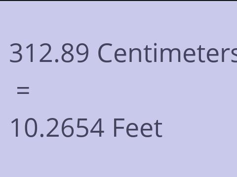 312.89 CM TO FEET