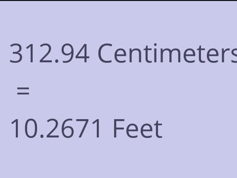 312.94 CM TO FEET