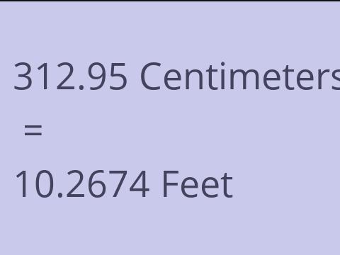 312.95 CM TO FEET