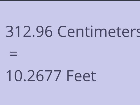 312.96 CM TO FEET