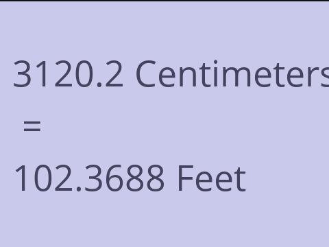 3120.2 CM TO FEET